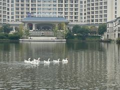 -龙熙维景国际会议中心
