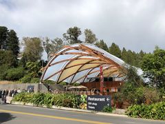 -怀托摩萤火虫洞