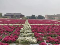 -中国天府农业博览园