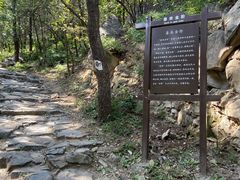 -阳台山自然风景区