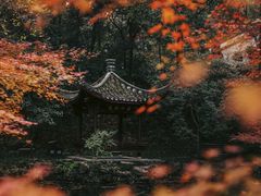 -虎跑公园
