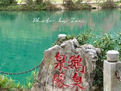-靖西鹅泉风景区