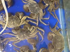 -阳澄湖大闸蟹·琼灵阁牌品牌连锁(吴中总店)