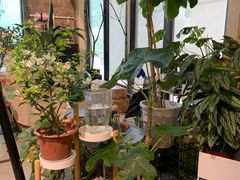 大堂-GOTLOT COFFEE&KITCHEN角落厨房NOOK店