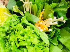 -掂档潮汕牛肉火锅(沈阳万象城店)