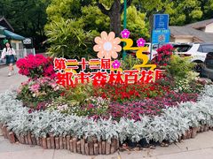 -上海共青森林公园