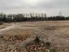 -马家湾湿地公园