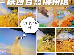 -陕西自然博物馆