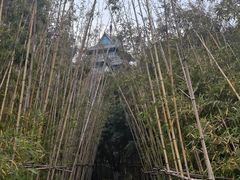 -金鸡湖桃花岛