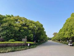 -上海海湾国家森林公园