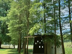 -南宁良凤江国家森林公园