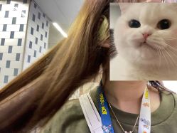 -唐朝造型·甄选