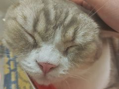 -平行世界·猫咖(首经贸店)