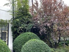 -上海兴国宾馆香樟园西餐厅