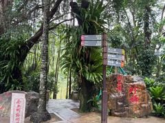 -深圳仙湖植物园