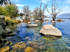 景点-才村湿地公园