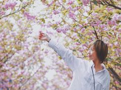 -高东镇樱花园
