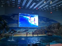 -福州罗源湾海洋世界旅游区