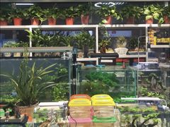 -万达广场(泰安泰山店)