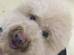 -创凡宠物医院·骨专科  猫科中心(西乡分院)