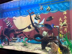 -烟台海昌鲸鲨海洋公园