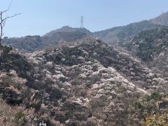 -北京鹫峰国家森林公园