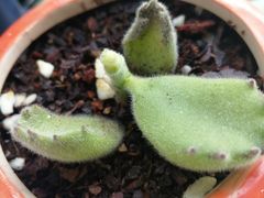 -大润发(勤业店)