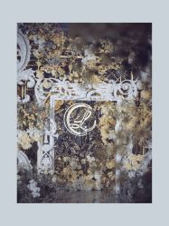 -琥珀婚礼策划AMBER WEDDING