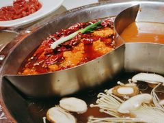 -大龙燚·旷野鲜火锅(广州首店)