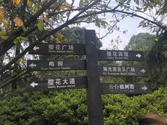 -南山植物园
