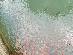 -楠溪江风景名胜区