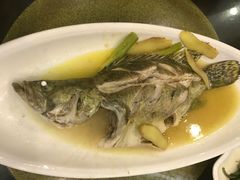 -陈记菜馆·非遗淮扬菜(东关街教场店)
