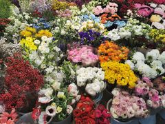 -双季花艺园艺市场(浦东店)