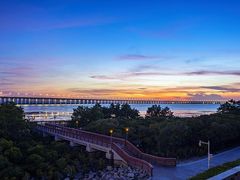 -宝安西湾红树林湿地公园