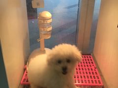-1013 PET SHOP 宠物商店(近铁城市广场店)