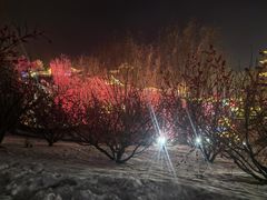 -威海华夏城景区