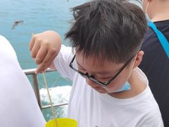 -海驴岛(荣成市)