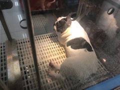 -乐宠宠物店(世纪金源店)