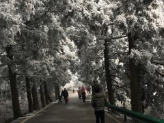 -南岳衡山风景名胜区-南岳大庙