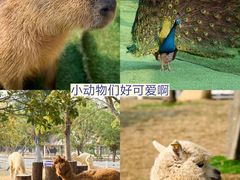 -盈香心动乐园