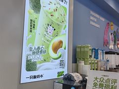 -一只酸奶牛(春熙路店)