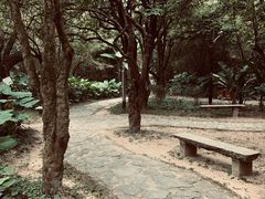 -开平碉楼文化旅游区马降龙景区