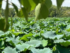-云龙湖旅游景区