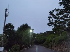 -杭州半山国家森林公园