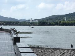 -水上明月·湖景餐厅