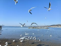 -老虎石海上公园