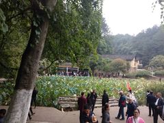 -韶山毛泽东同志故居