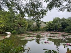 -野象谷景区