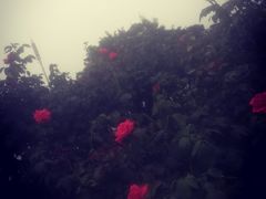 -钱江新城灯光秀