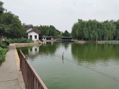 -团结湖公园